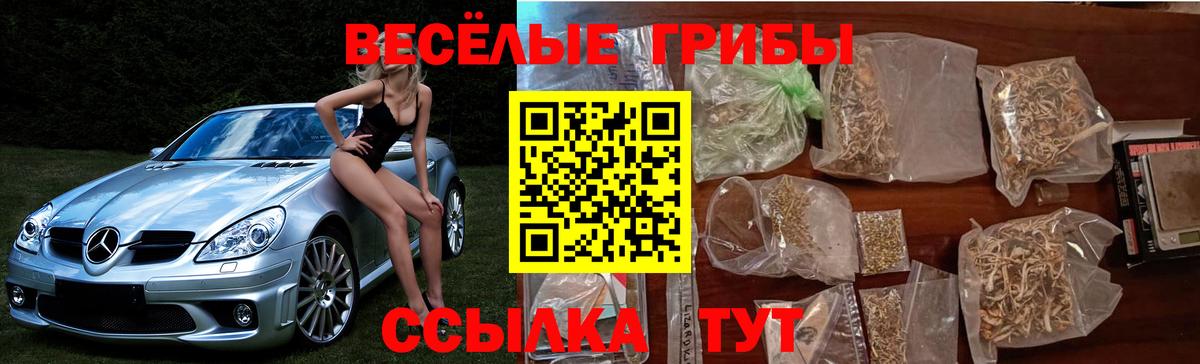 Псилоцибиновые грибы Psilocybine cubensis Казань